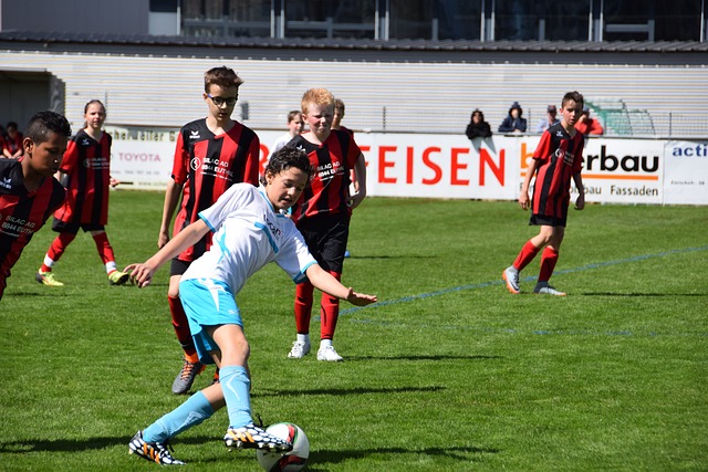 球迷的目光 球迷的目光