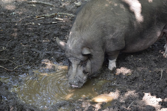 在对手半场 在对手半场