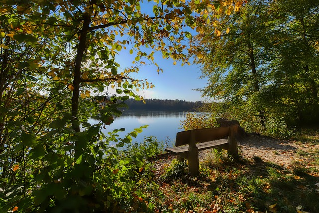 出了一波4 出了一波4