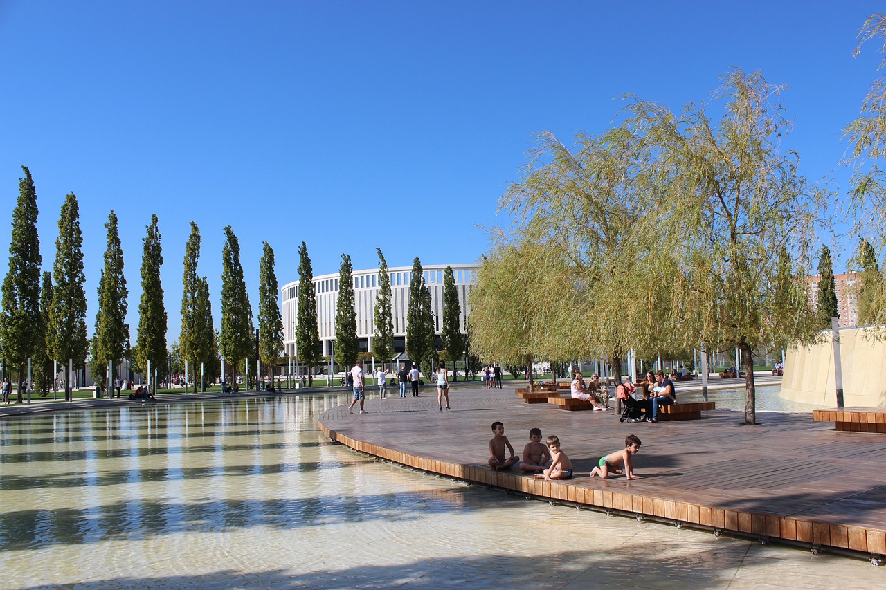 赛事的更高 赛事的更高